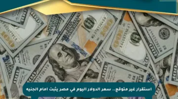 استقرار غير متوقع.. سعر الدولار اليوم في مصر يثبت أمام الجنيه